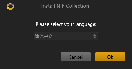 Nik Collection安装教程 选择语言