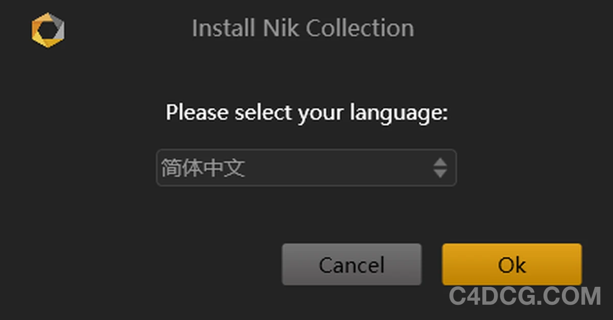 Nik Collection安装教程 选择语言